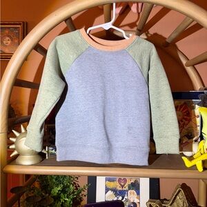 Cat & Jack Gray Body Sweatshirt with Green Sleeves and Peach Neckline